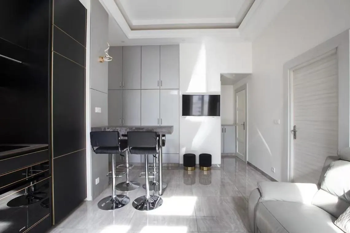 Apartment Appartement Avenue Kleber A Proximite De L'Arc De Triomphe, Avenue Des Champs Elysees, Trocadero, Paris